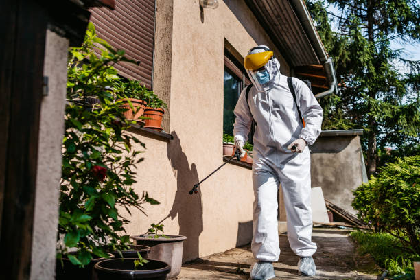 Best Pest Control Treatment  in USA